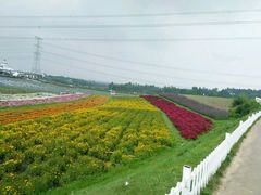-紫颐香薰山谷景区