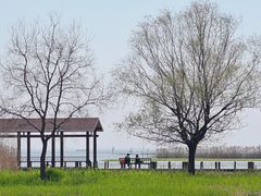 -太湖湖滨国家湿地公园-停车场