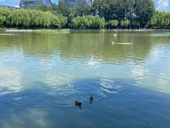 -中国农业博物馆