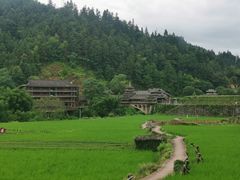 -程阳八寨景区