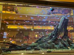 -大江户·温泉洗浴(浑南店)