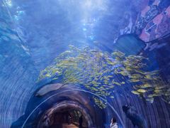 -华夏文旅西安度假区