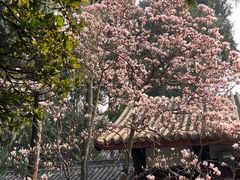 -成都武侯祠博物馆