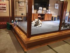 -大江户·温泉洗浴(浑南店)