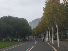 -南京奥林匹克体育中心