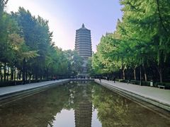 -玲珑塔公园