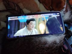 -金砂公园