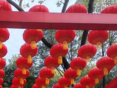 -绵阳人民公园(涪城区)
