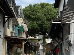 -杭州西湖风景名胜区-满觉陇四眼井