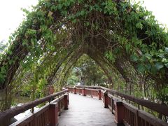 -清迈夜间动物园