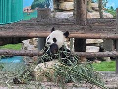 -西霞口神雕山野生动物世界