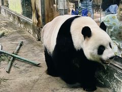 -柳州市动物园