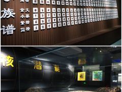-贝壳王国博物馆