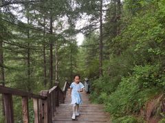 -苏木山森林公园