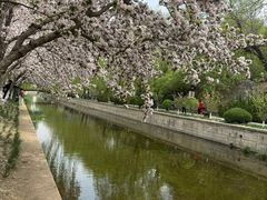 -元大都城垣遗址公园