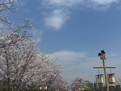 -长田漾湿地公园