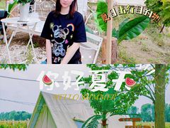 -安德鲁户外烧烤帐篷营地(马泉营店)