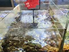 -上座·餐厅(阳光100店)