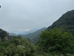 -大岭沟猕猴桃谷风景区