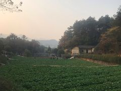 -韶山毛泽东同志故居