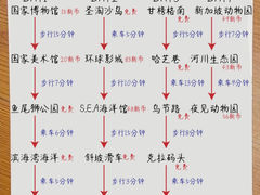 -圣淘沙天际线斜坡滑车