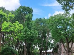 -嘉北郊野公园