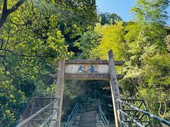 -天台山琼台仙谷景区