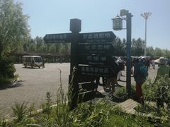 -呼兰河口湿地公园