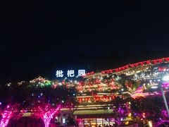 -枇杷园食为鲜火锅(南山店)