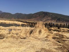 -泸沽湖国家级风景名胜区走婚桥