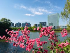 -大兴滨河森林公园