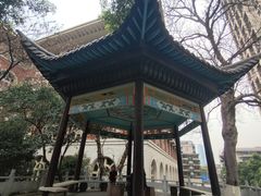 -长沙市青少年宫