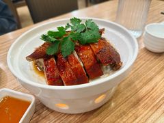 永记烧鸭-永記粤菜·五指毛桃花雕鸡煲(九亭店)