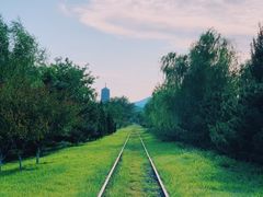 -永定河休闲森林公园