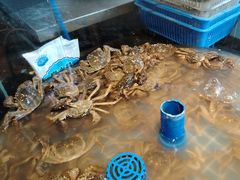 -争先鲜·蒸汽海鲜自助·鲜切牛肉