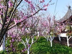 -上海望仙安息园