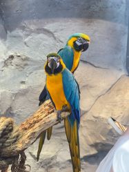 -Zoolung Zoolung动物主题公园(海信广场店)