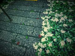 -福州火车南站(地铁站)