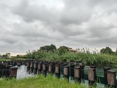 -宁波杭州湾国家湿地公园