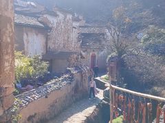 -杨家堂村