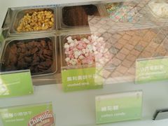 -Salud撒露欧洲冻酸奶(蓝色港湾店)