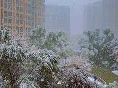 -西安电影制片厂