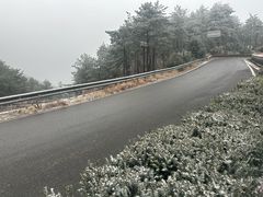 -四明山国家森林公园