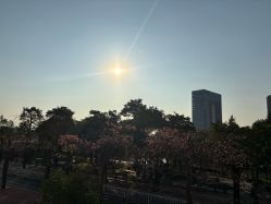 点击看大图 -思怡瑜伽·普拉提·减脂塑形