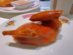 石歧黄皮小乳鸽-炆艺乳鸽·煲仔饭大排档(望京来广营店)