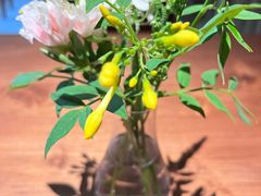 -天水蔬食料理(树德之光店)