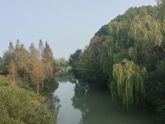 -贡湖湾湿地公园
