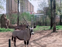 -大连森林动物园