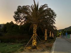 -西涌国际滨海旅游区