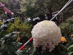 -杭州植物园